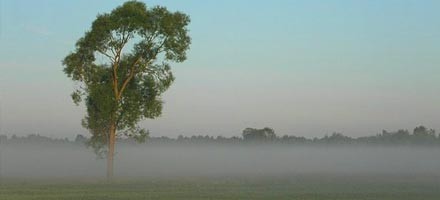 Gdy poranne wstają zorze…